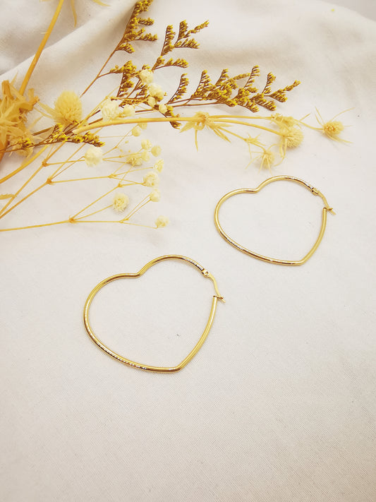 Boucles d'oreilles Coeur