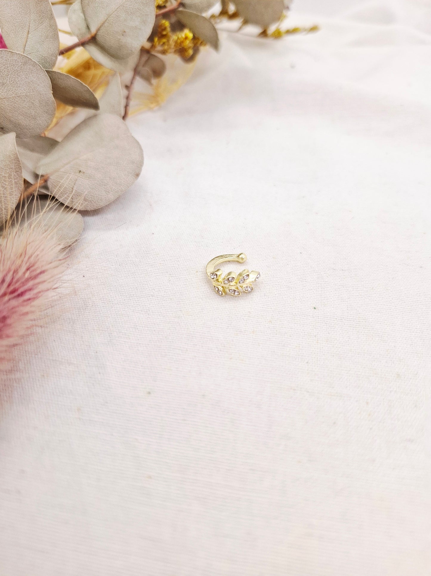 Ear cuff